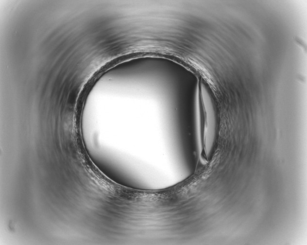 X0000093750880200710301122