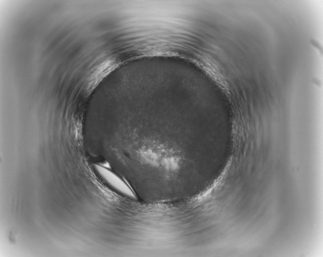 X0000093750881200710301122