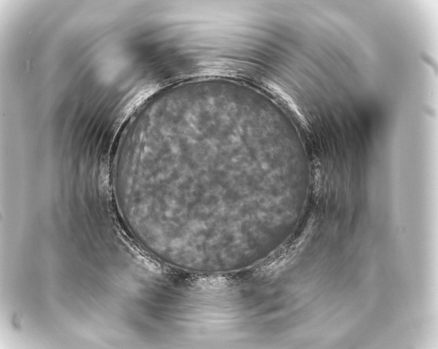 X0000093750882200710301122