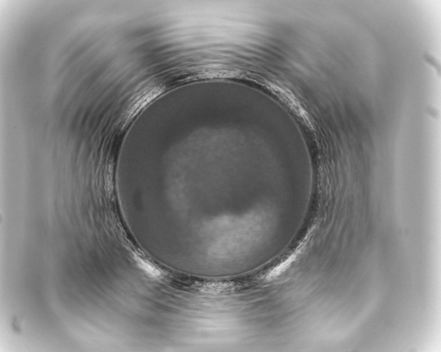 X0000093750889200710301122