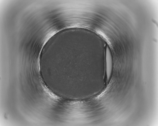 X0000093750892200710301122