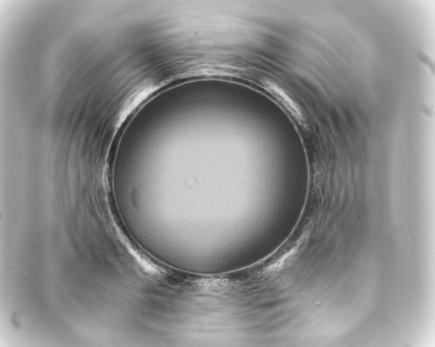 X0000093750893200710301122
