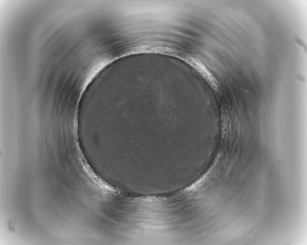 X0000093750896200710301122