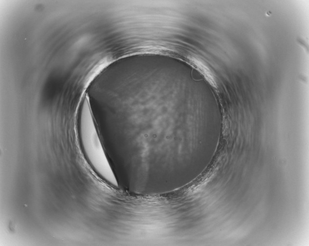 X0000093750899200710301122