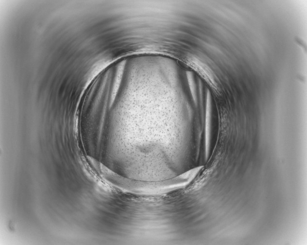 X0000093750900200710301122