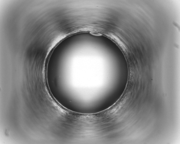 X0000093750902200710301122