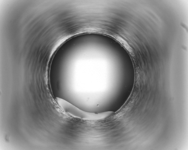 X0000093750904200710301122
