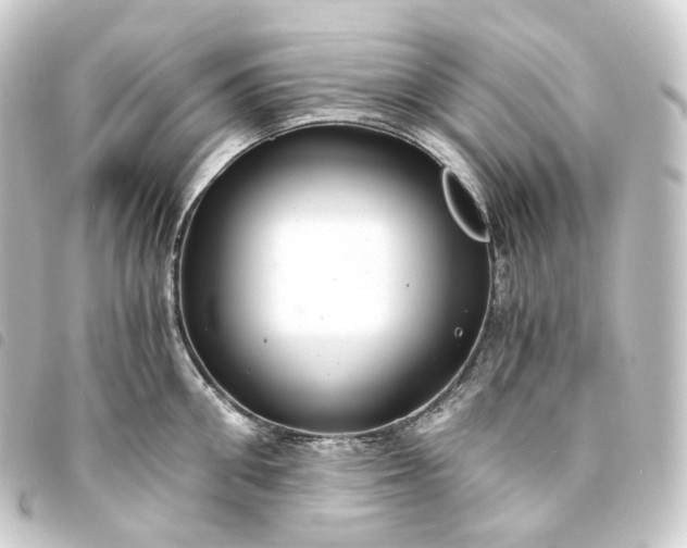X0000093750906200710301122