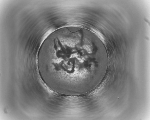 X0000093750907200710301122