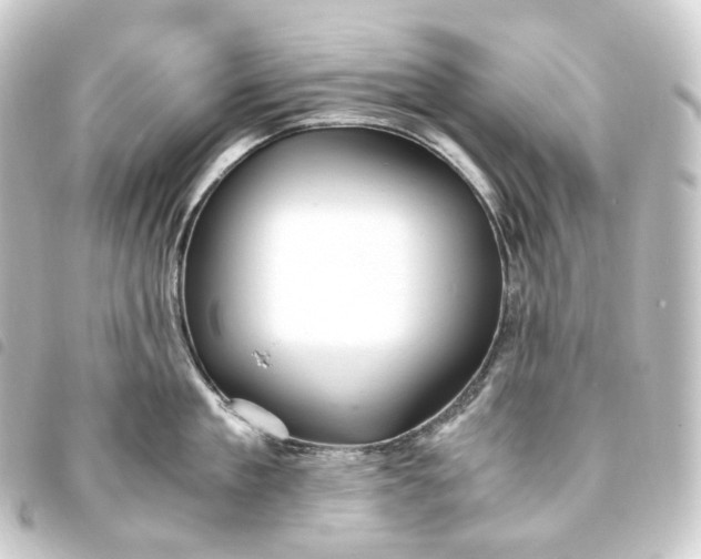 X0000093750909200710301122