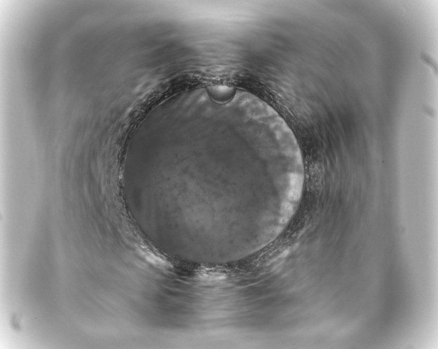 X0000093750913200710301121