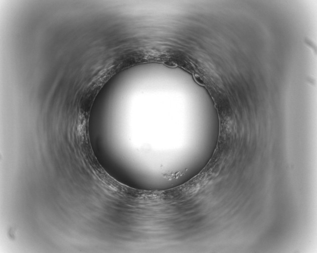 X0000093750914200710301121