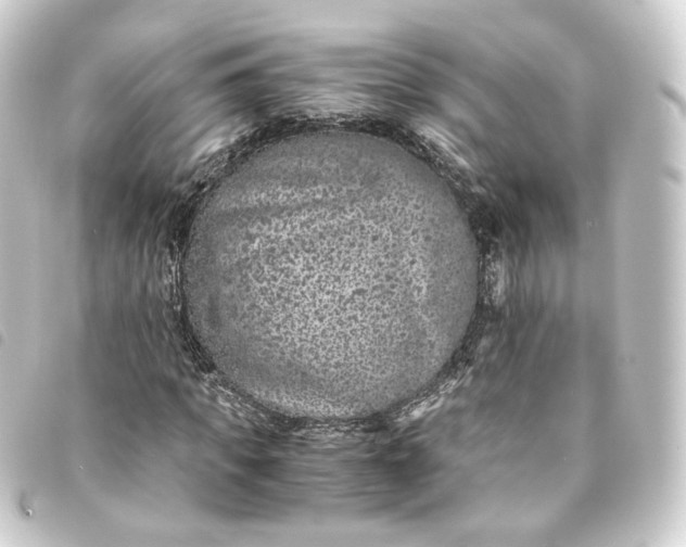 X0000093750917200710301121