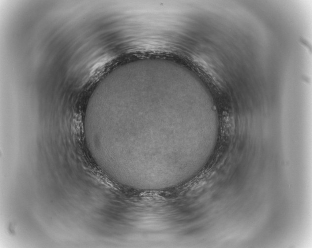 X0000093750918200710301122