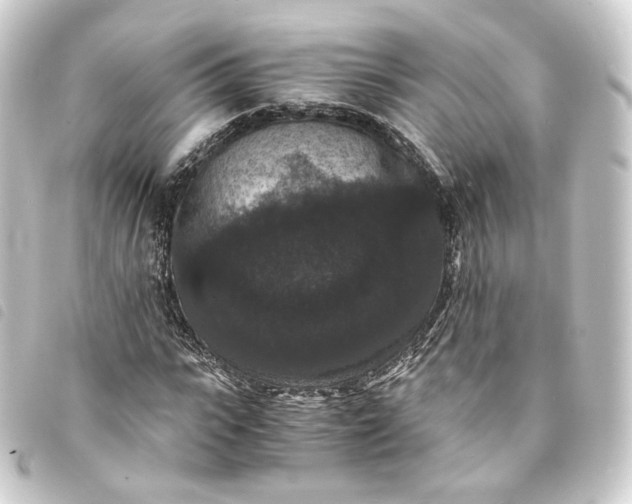 X0000093750919200710301122