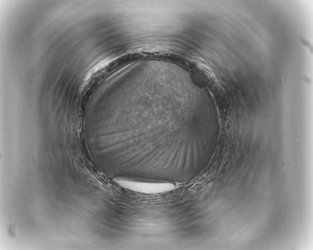 X0000093750920200710301122