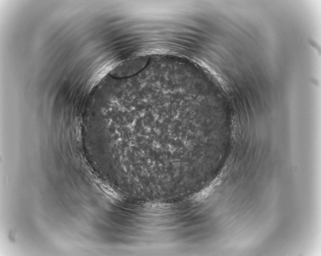 X0000093750921200710301122