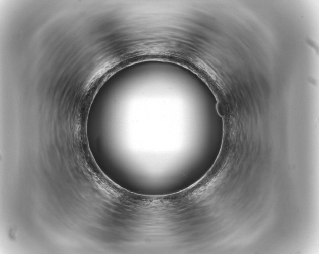 X0000093750922200710301122