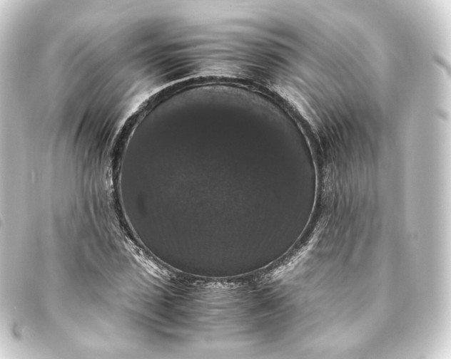 X0000093750923200710301122