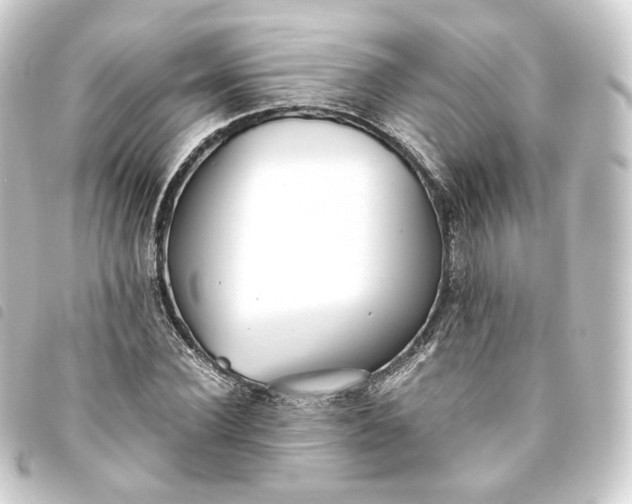 X0000093750924200710301122