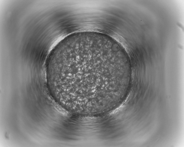 X0000093750925200710301122