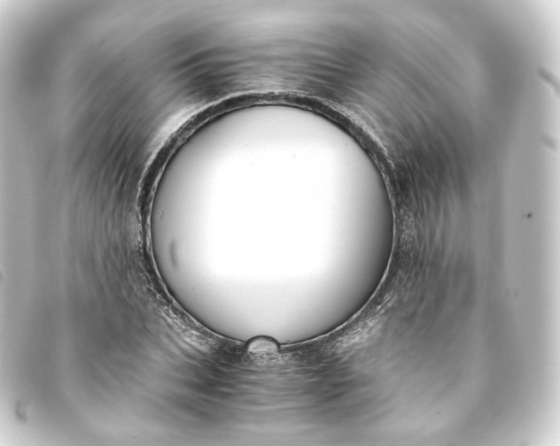 X0000093750927200710301122