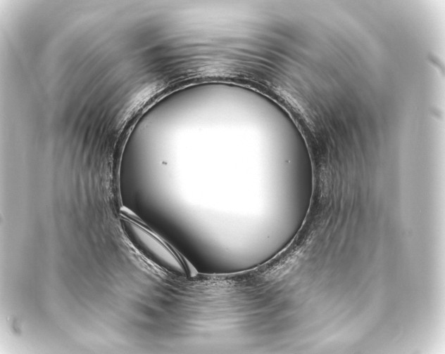 X0000093750930200710301122