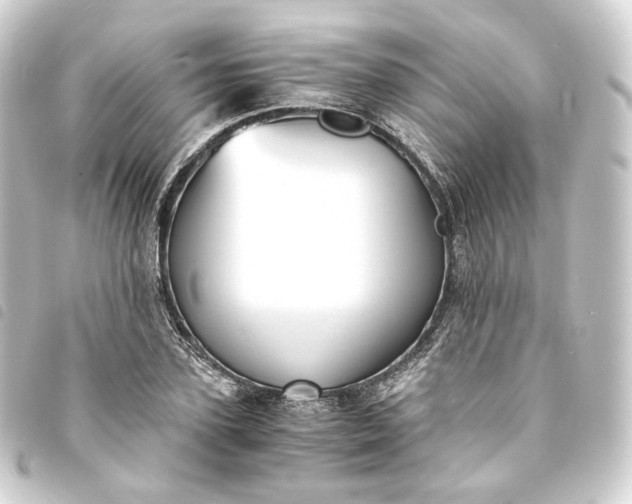 X0000093750931200710301122