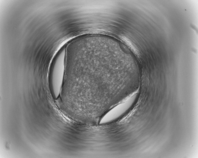X0000093750932200710301122