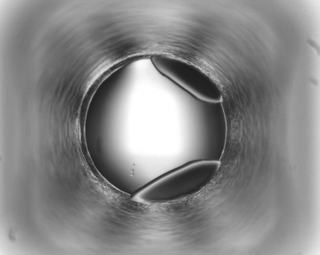 X0000093750936200710301122