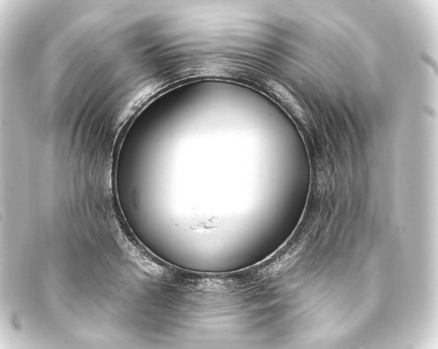 X0000093750938200710301122