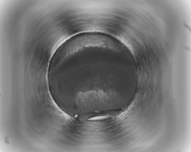X0000093750943200710301122