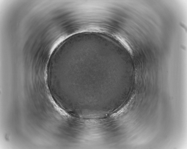 X0000093750944200710301122