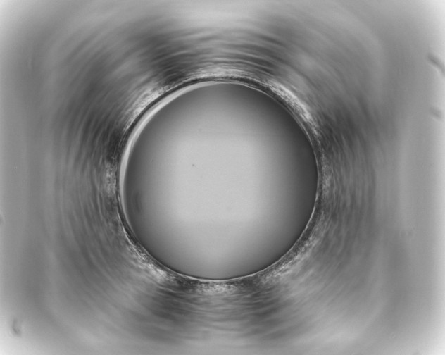 X0000093750945200710301122
