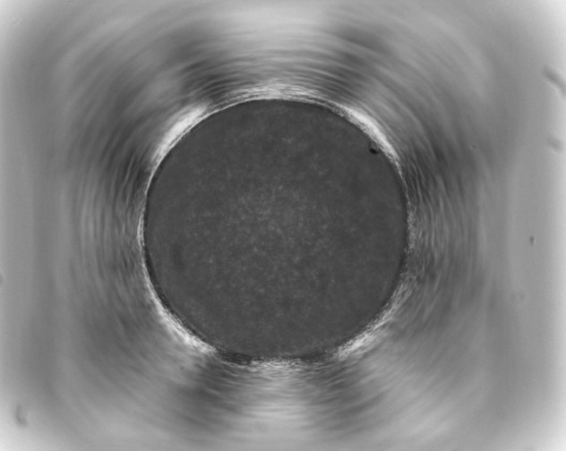 X0000093750946200710301122