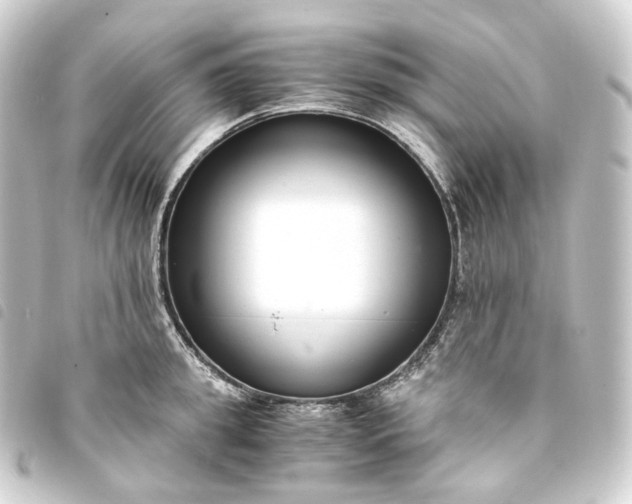 X0000093750949200710301122