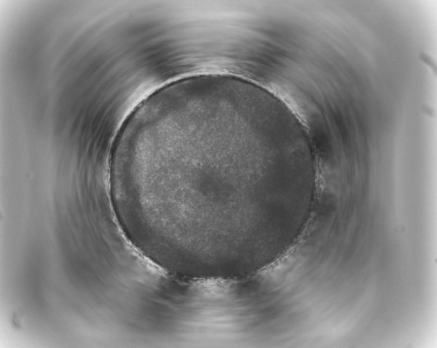 X0000093750950200710301122