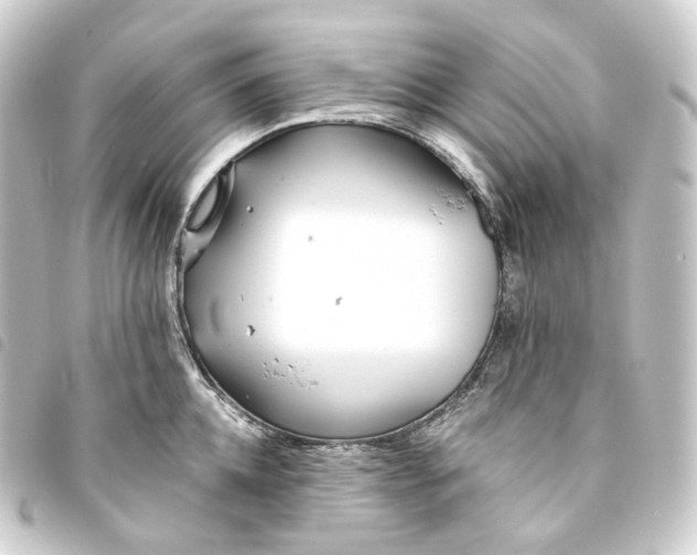 X0000093750952200710301122