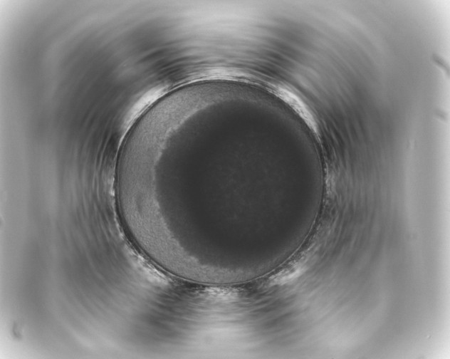 X0000093750954200710301122