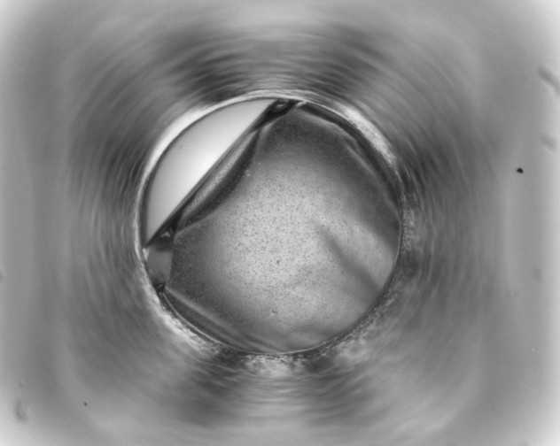 X0000093750955200710301122