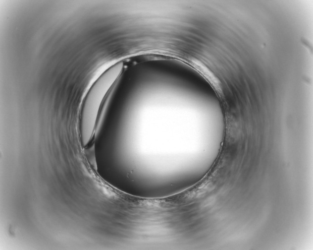 X0000093750956200710301122
