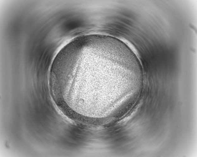 X0000093750957200710301122