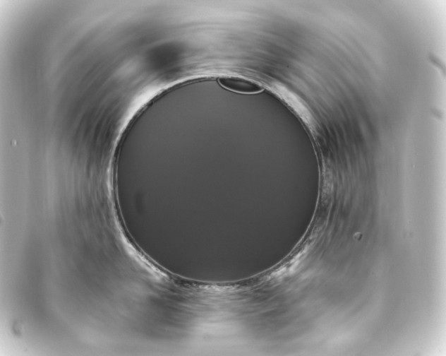 X0000093750958200710301122