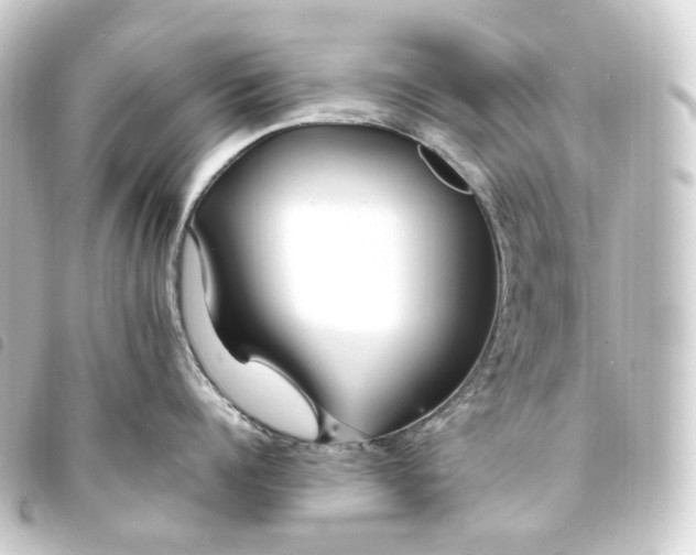 X0000093750960200710301122