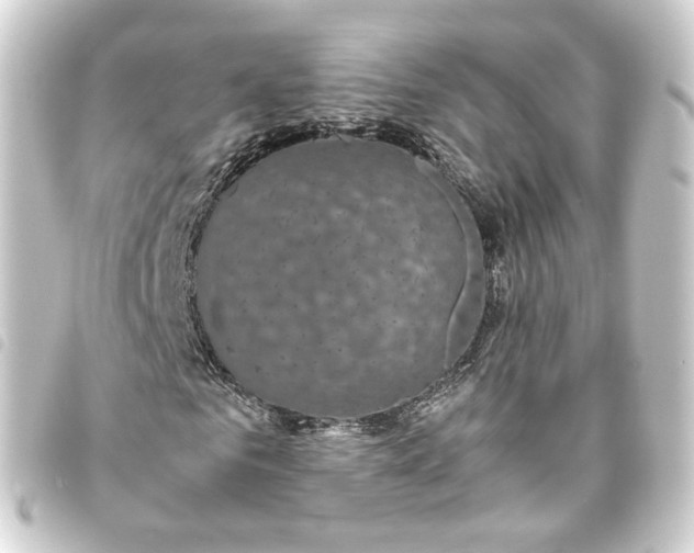 X0000093750961200710301121