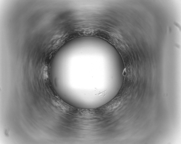 X0000093750962200710301121