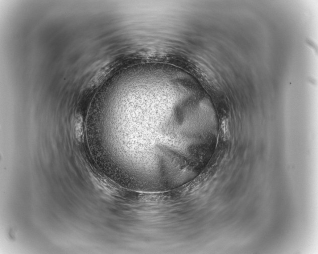 X0000093750963200710301121
