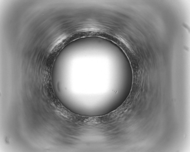 X0000093750967200710301121