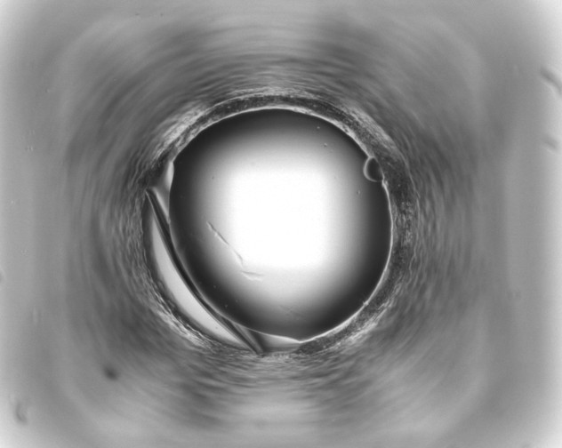 X0000093750969200710301121