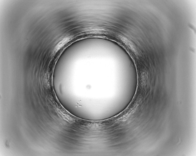 X0000093750970200710301121
